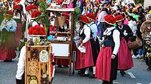 Diesjähriger Radolfzeller Fastnachtsumzug.
