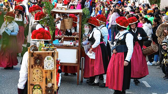 Diesjähriger Radolfzeller Fastnachtsumzug.