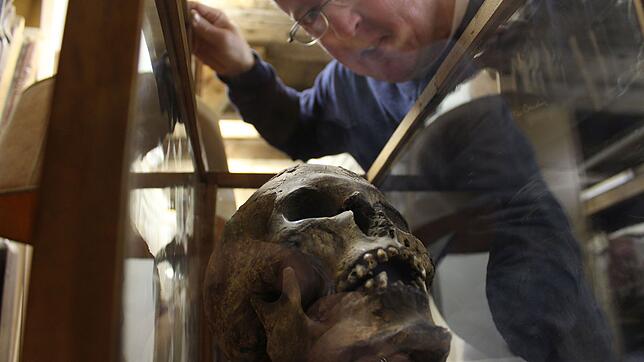 Ein mumifizierter Schädel, den von Mader im 18. Jahrhundert von Kairo nach Überlingen brachte. Kustos Peter Graubach lupft den Deckel ...