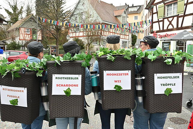 Bild 6: Narrenhochzeit in Sipplingen: So feiern die Narren das neue Paar