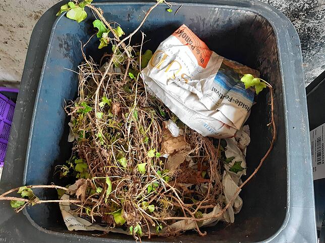 Bild 4: Das hilft gegen Maden und Gestank in der Tonne