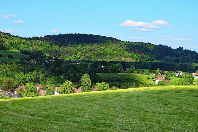 Auf dem Hoheneck oberhalb Hottingens soll das Bürgerwindrad der Gemeinde Rickenbach errichtet werden.
