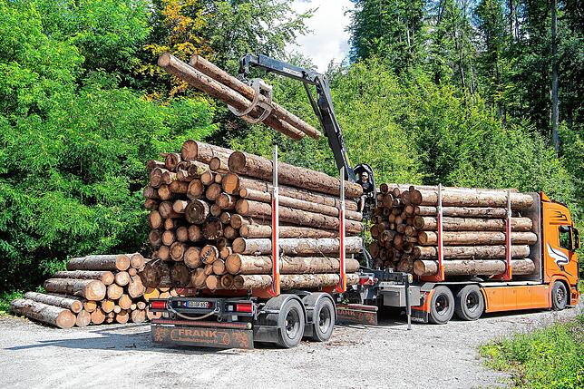 In großen Mengen haben die Waldbesitzer im vergangenen Jahr das Holz aus den Wäldern geholt. Sie wollten vermeiden, dass sich der ...