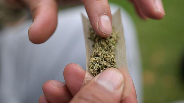 Bei der Hausdurchsuchung sind große Mengen Cannabis gefunden worden, diese Droge kann als Zigarette geraucht werden. (Symbolfoto).