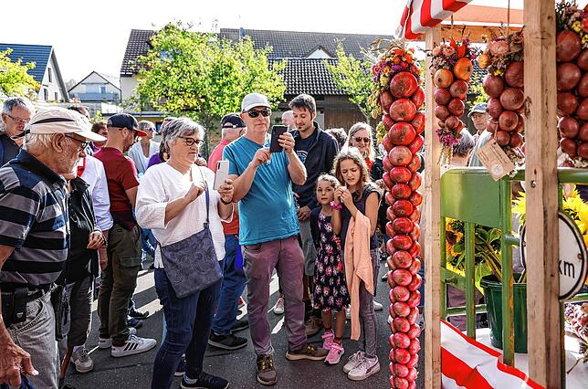 Wahrscheinlich das am meisten fotografierte Objekt auf dem Büllefest in Iznang. Ein beosnders langer Zopf aus rund 100 Büllezwiebeln am ...