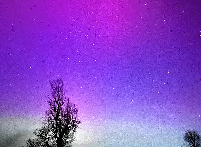 Bäume vor der Polarlichter-Kulisse.