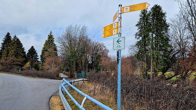 Der Lehrenweg zwischen Spaltenstein und Schnetzenhausen heute. Rechts davon fließt der Mühlbach. An dieser Stelle wurde Gabriele Speth ...