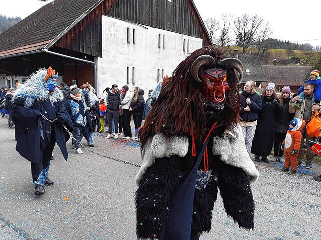 Bild 28: Die schönsten Bilder vom großen Habufa-Umzug in Hasel (1)
