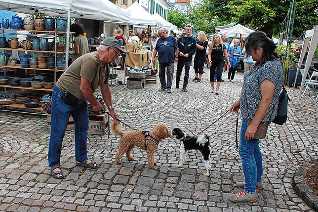 Bild 6: Töpfermarkt begeistert trotz kühler Witterung am Sonntag