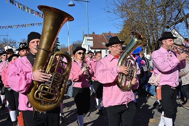 Bild 14: Bilder vom Narrentreffen der Urviecher-Zunft Bad Dürrheim: Großer Festumzug (2)