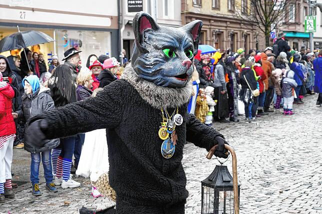 Bild 1: Alle Bilder vom großen Umzug in Villingen am Dienstag (2)
