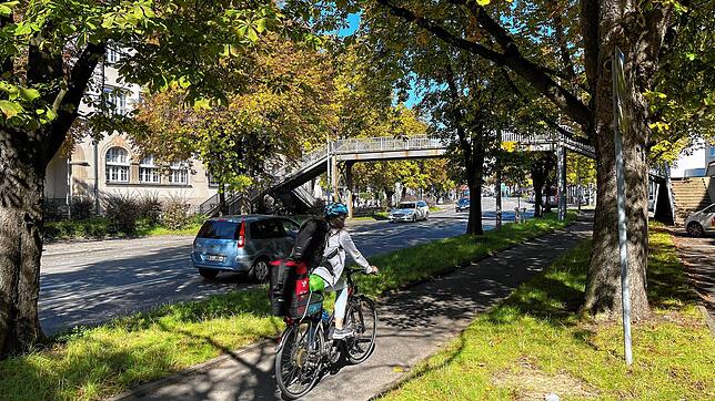 Eine Radfahrerin auf Höhe des Schulkomplexes am Zähringerplatz 1. Hier in diesem Bereich traf den Radler ein Stein.