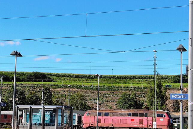 Hinterm Rottweiler Bahnhof ist ein Weingarten entstanden. Der Verein Civitis hat hier Rebstöcke gepflanzt, die bis zur Landesgartenschau ...