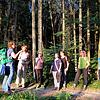 Leiterin Cornelia Rick (links) mit ihrer Gruppe beim "Waldbaden": Die Teilnehmer laufen mit allen Sinnen achtsam durch die Natur und ...