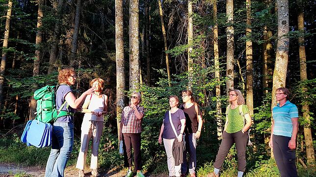 Leiterin Cornelia Rick (links) mit ihrer Gruppe beim "Waldbaden": Die Teilnehmer laufen mit allen Sinnen achtsam durch die Natur und ...