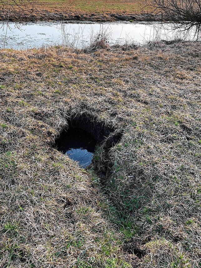 Solche Notfallgänge sind besonders tückisch für Landwirte: Steht hier hohes Gras oder Frucht so sind solche Löcher nicht ersichtlich und ...