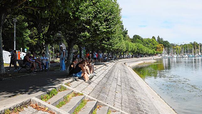 Bild 40: Konstanzer Seenachtfest 2022: Das haben die Besucher auf der Seestraße erlebt