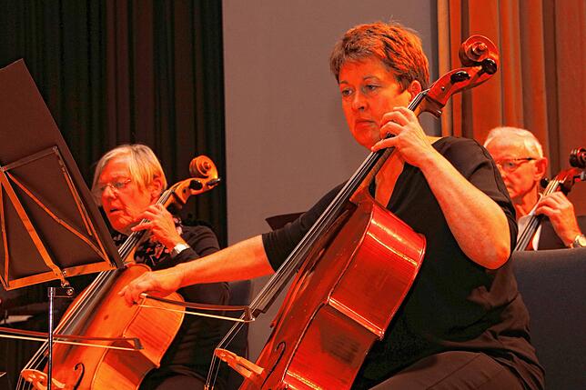 Mit Streichinstrumenten: Der Orchesterverein Bad Säckingen ist 1904 gegründet worden. Im Bild die Vorsitzende Christine Friedlmeier.