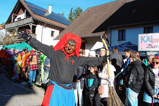Bild 7: Kleggau-Narrentreffen: Tausende Narren begeistert vom Umzug - Bilder
