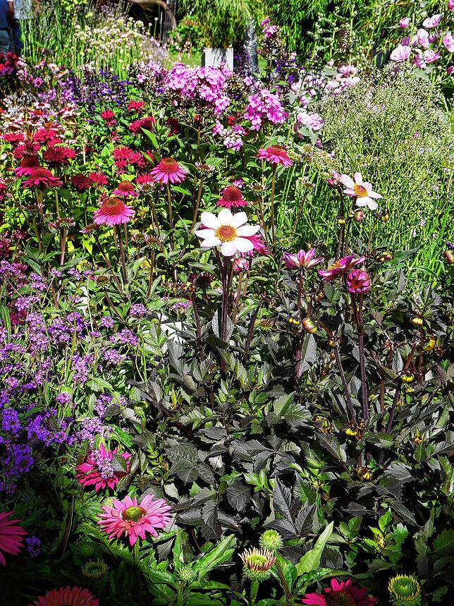 Bild 24: Die schönsten Bilder von der DIGA-Gartenmesse im Bad Säckinger Schlosspark