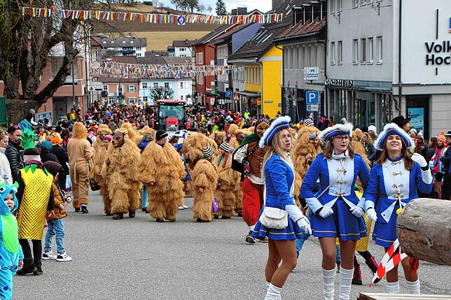 Bild 27: Tierisch was los beim Umzug am Fasnetmendig: Teil 1