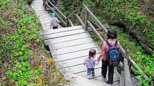 (Archivbild) Lang ist es her: Es war immer eine spektakuläre Wanderung, über viele Treppenstufen geht es hinab in die Marienschlucht. ...