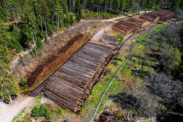 Der Blick von oben zeigt, wie viel Holz gerade im Nasslager im Wieselsbachtal liegt.