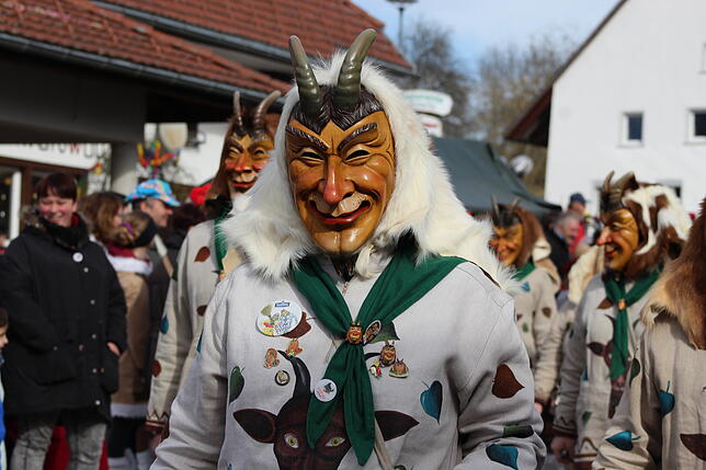 Bild 11: Strahlendes Wetter und glückselige Narren in Ühlingen. Wir haben alle Bilder