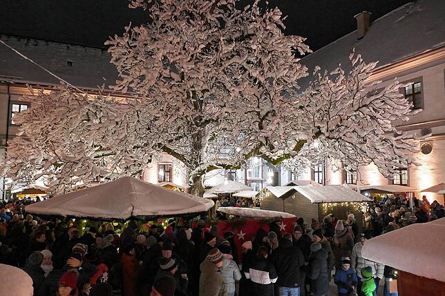 Winterliche Kulisse mit viel Charme: Die mit Schnee bedeckte Linde sorgt für eine besondere Atmosphäre bei der Schlossweihnacht.