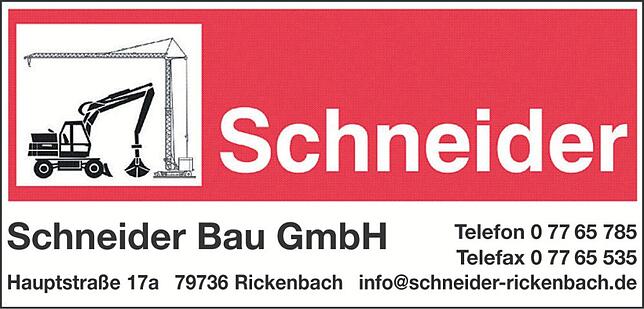 Bild 6: Sommerfest mit Oltimertreffen in Rickenbach-Hütten: Seltene Schönheiten und viel Musik