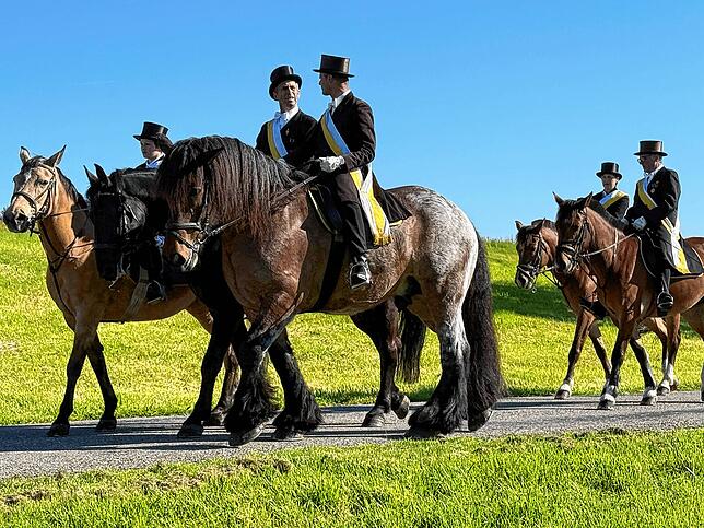 Bild 19: Zweihundert Reiter beim Limpacher Georgiritt
