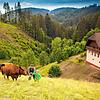 Im Schwarzwald ist der Urlaub naturnah und familienfreundlich &ndash; wie hier in Gremmelsbach.