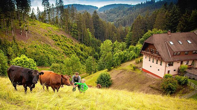 Im Schwarzwald ist der Urlaub naturnah und familienfreundlich &ndash; wie hier in Gremmelsbach.