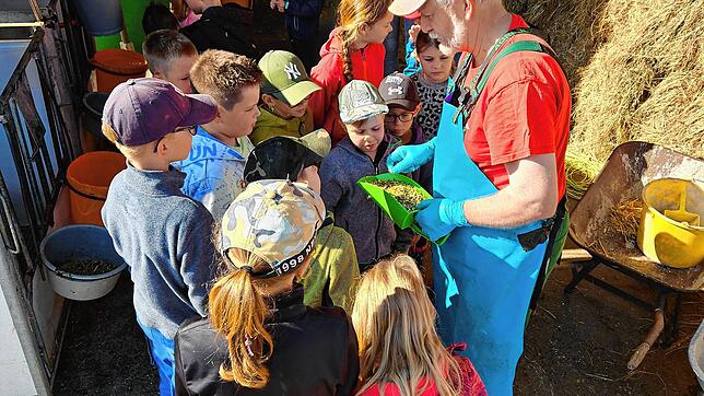 Beim Blick hinter die Kulissen des Bauernhofs lernen die Kinder verschiedene Futterarten kennen und erleben landwirtschaftliche Arbeit ...