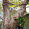 Baumpflege-Experte Heinrich Holewa steht neben einem Catalpa-Baum im Radolfzeller Stadtgarten. Weil Schäden aufweist, wurde der Baum mit ...