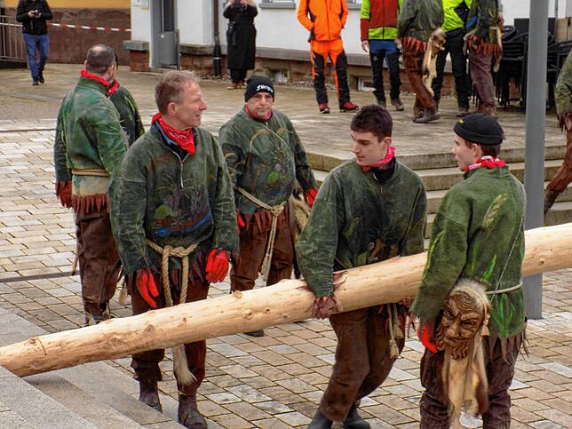 Die Fährigeister packen kräftig beim Narrenbaumstellen an.