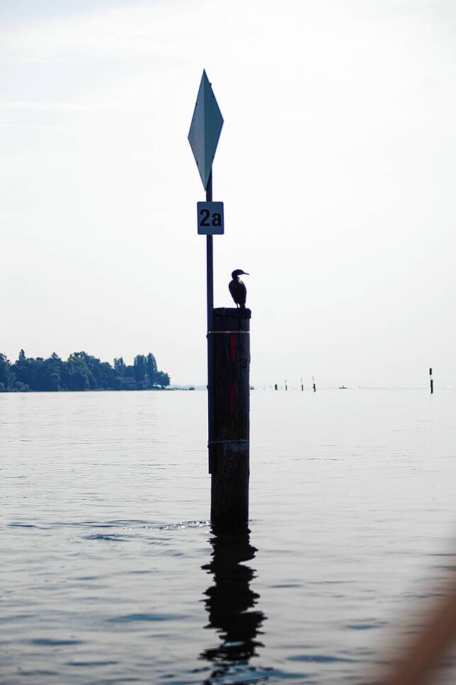 Bild 2: Vom Konstanzer Hafen bis zum Wollmatinger Ried &ndash; Kommen Sie mit auf eine Bootstour in Bildern
