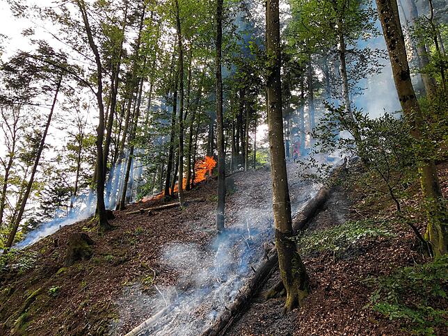 Bild 4: Loderne Flammen im Wald! Wie sich die Feuerwehr auf den Klimawandel vorbereitet