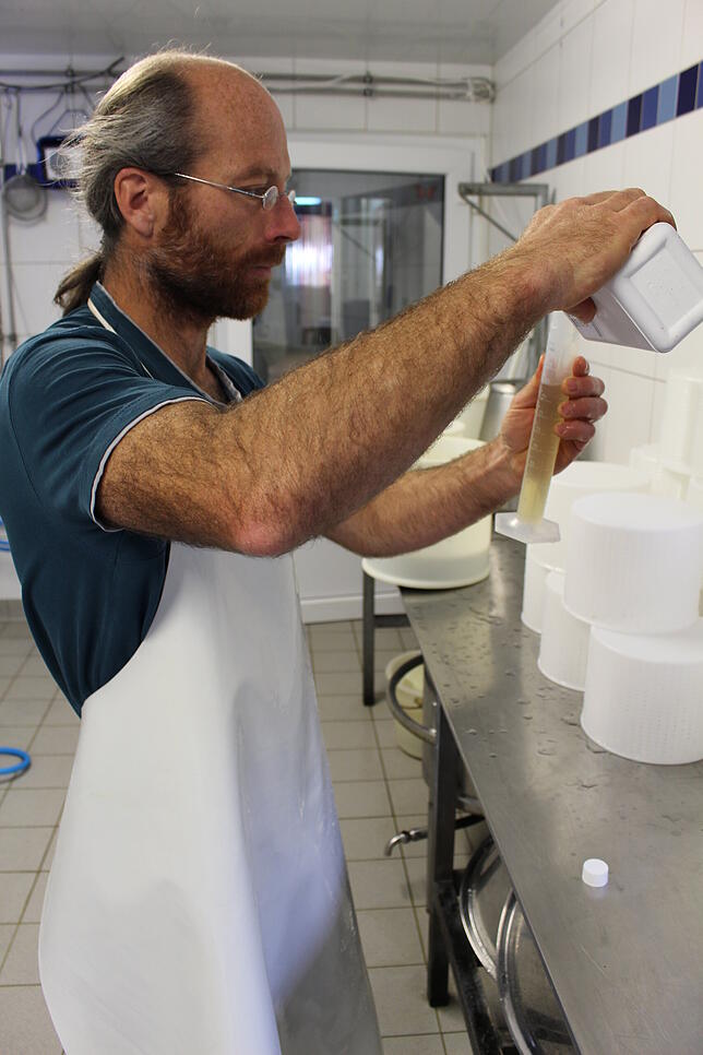 60 Milliliter Lab kommen in die 600 Liter Milch. Das Enzym ist hoch wirksam. Ein Liter davon reicht für 7000 Liter Milch.