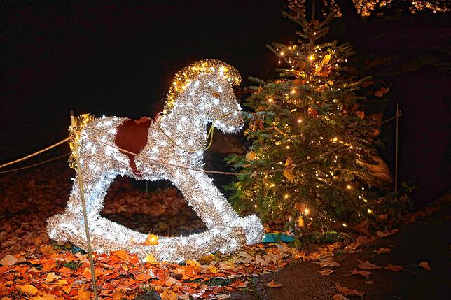 Bild 21: Insel Mainau: Bilder vom Start des Christmas Garden 2023 - Teil 1