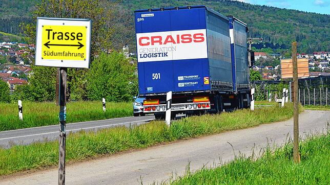 Bis die Trasse der Südumfahrung Markdorf tatsächlich gebaut werden wird, werden noch mehrere Jahre ins Land gehen. Zauneidechsen haben ...