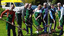 Sechsmal der Baum des Jahres, Schritt eins: Revierförsterin Annika Bindlingmaier (von links), Kreisforstrevierleiter Matthias Schupp, ...
