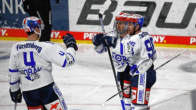 Die kanadischen Zwillinge Tyson (rechts) und Tylor Spink sollen bei den Wild Wings in der kommenden Saison für neuen Schwung sorgen.