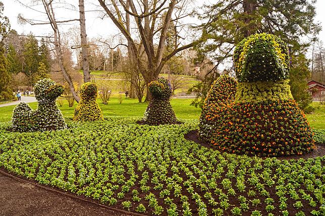 Die Entenfamilie gehört zu den beliebtesten Fotomotiven auf der Insel Mainau.