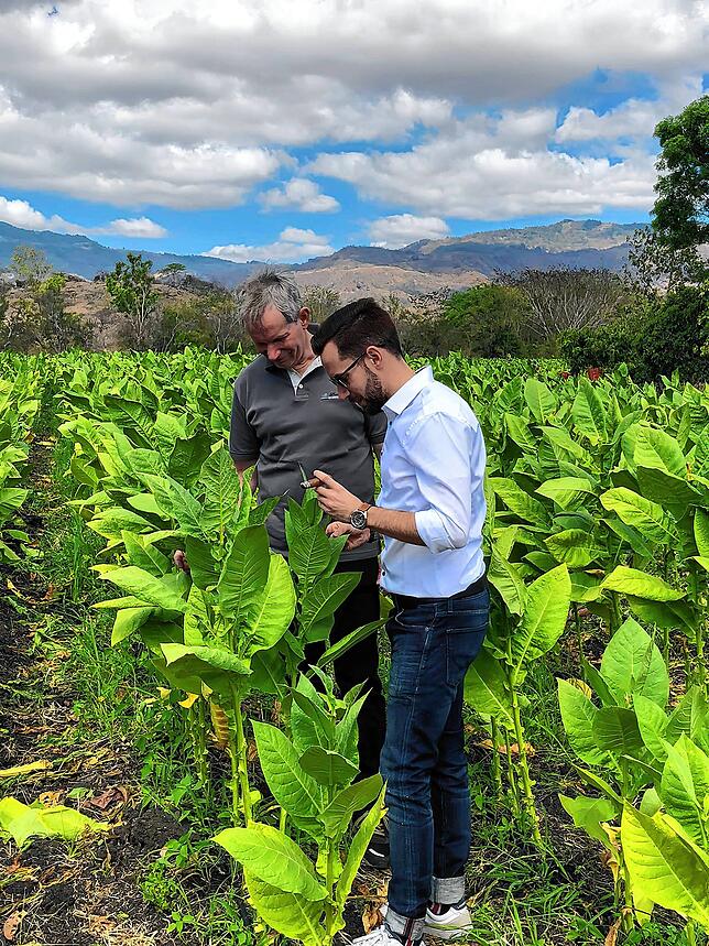 Daniel Höldke informiert sich in Nicaragua über die Ernte.