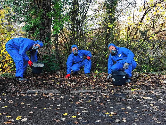 Auch der gesamte Uferbereich am Aachkanal wird in verschiedenen Schritten nach Asbestteilen abgesucht. Zuerst werden die größeren Stücke ...