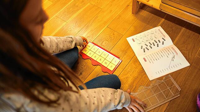 Die Schüler der Unterseeschule in Radolfzell sollen etwa anhand von Spielen selbstständig lernen.