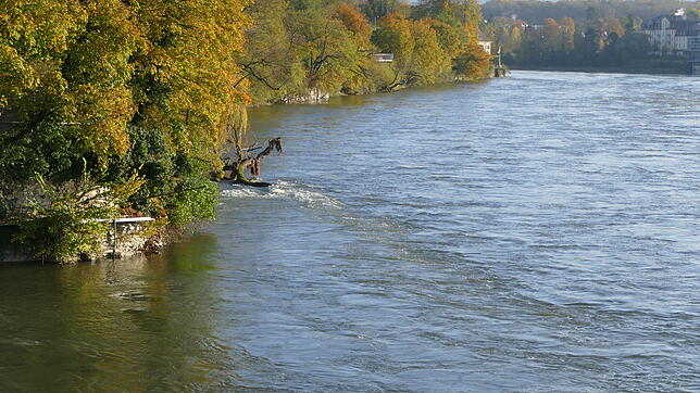 Der Rhein hat sich wieder gefüllt, zur optimalen Stromerzeugung dürfte aber laut Energiedienst ruhig noch mehr Wasser fließen.