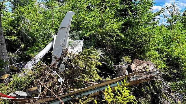 Das Wrack des abgestürzten Kleinflugzeugs in dem Waldstück bei Mönchweiler.