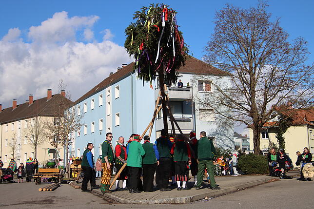Bild 15: Radolfzeller Froschenzunft: So spektakulär wurde der Narrenbaum gestellt – alle Bilder!